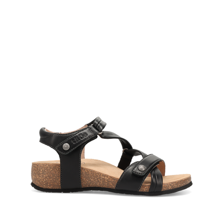 Outside image of Universe Black 36