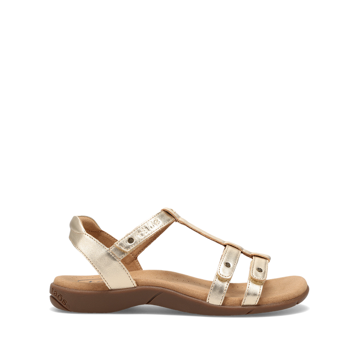 Outside Image of Trophy 2 Gold 8