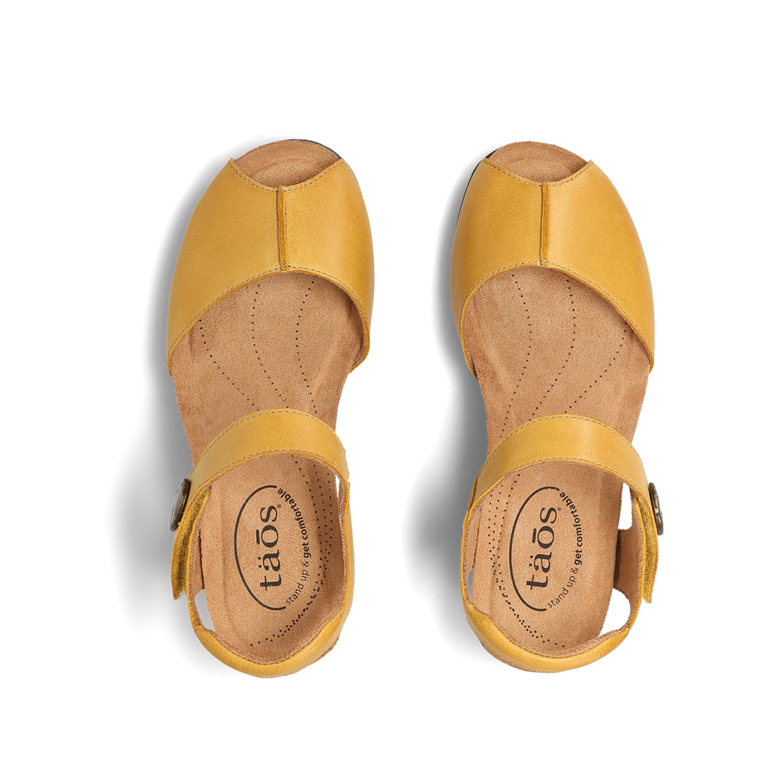 Top down image of Promise Yellow 7