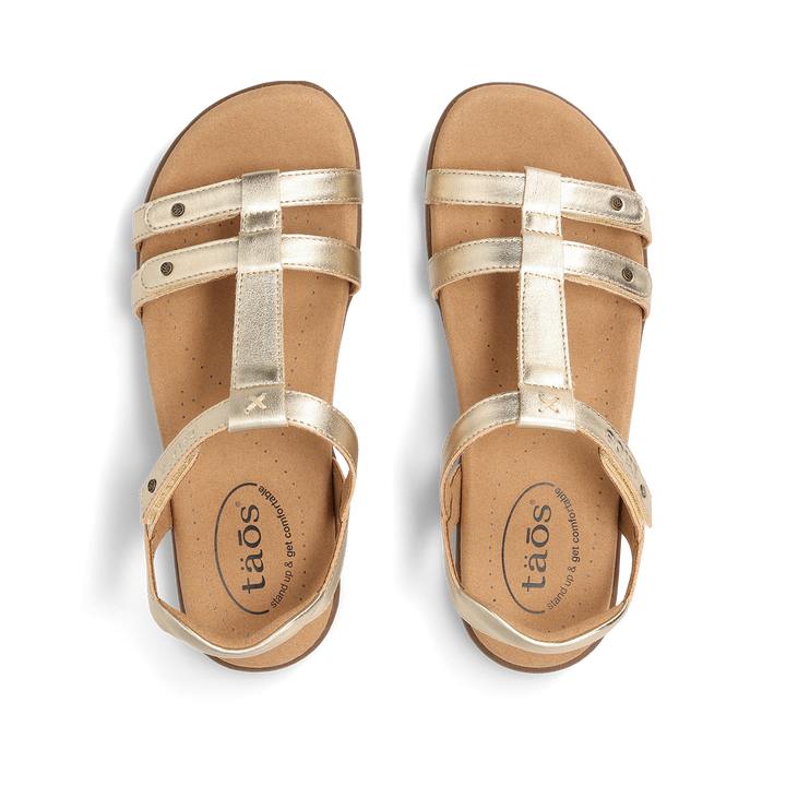 Top down Image of Trophy 2 Gold 8