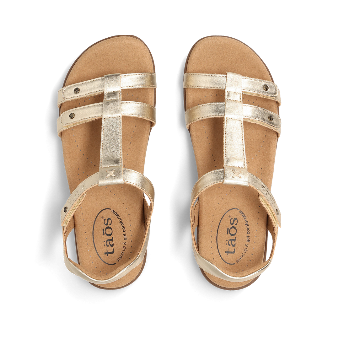 Top down Image of Trophy 2 Gold 8