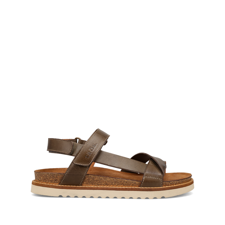 Outside Image of Outsideways Olive 40