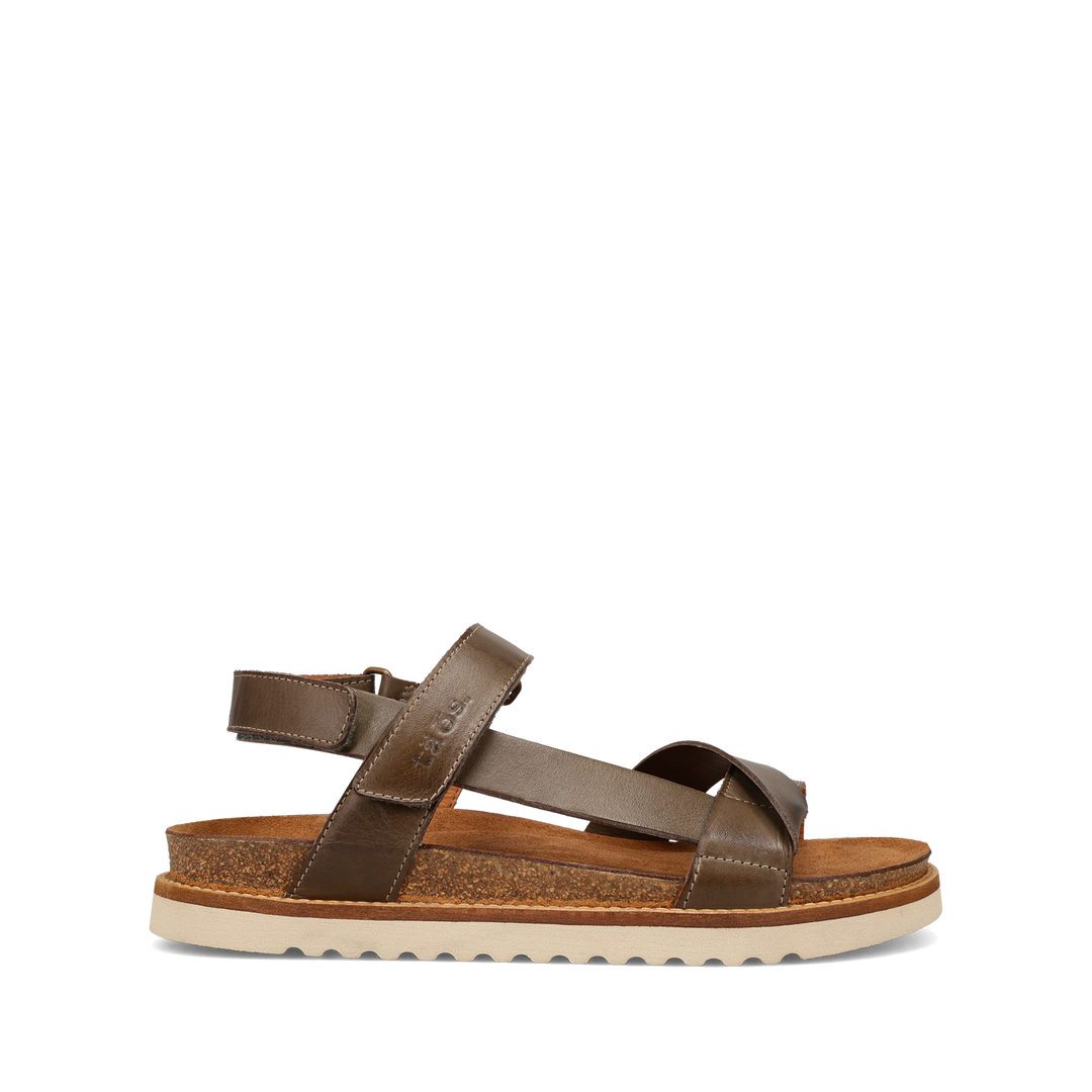 Outside Image of Outsideways Olive 40