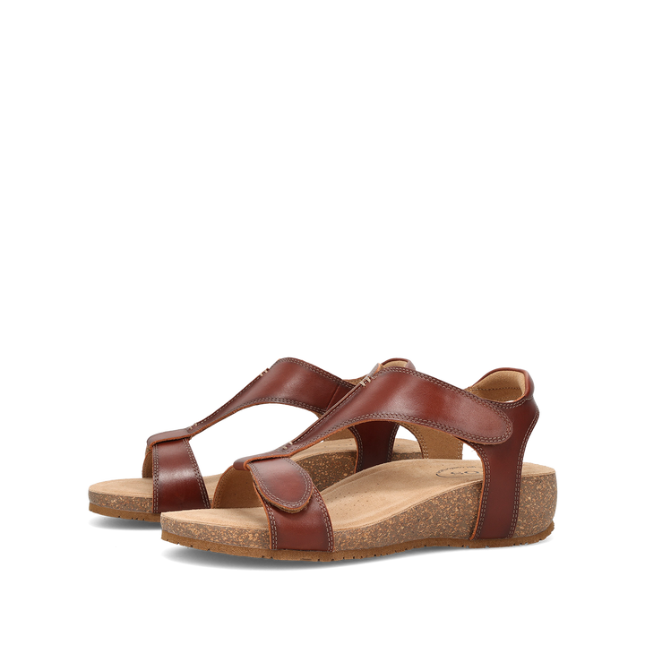 Pair image of Showtime Cognac 39