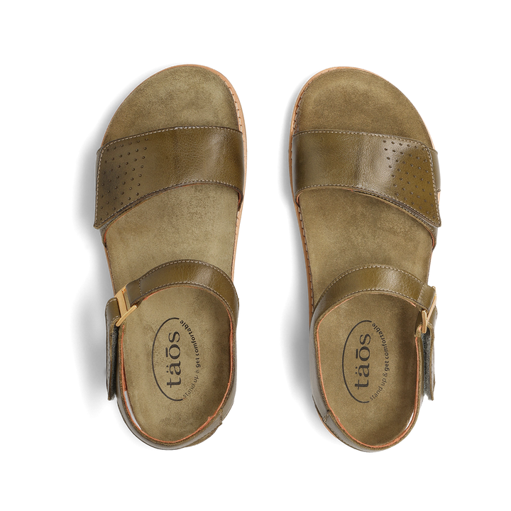 Top down image of Modern Avocado 39