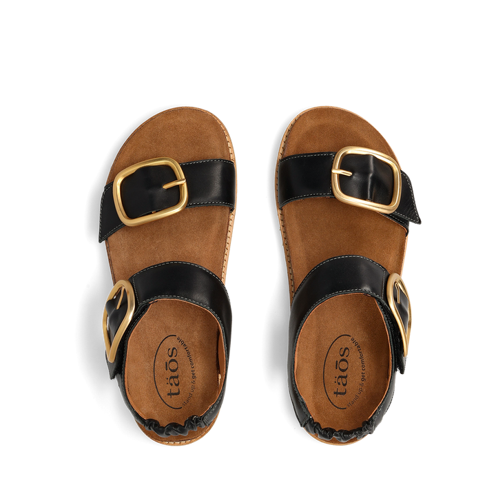 Top down Image of On The Double Black 38