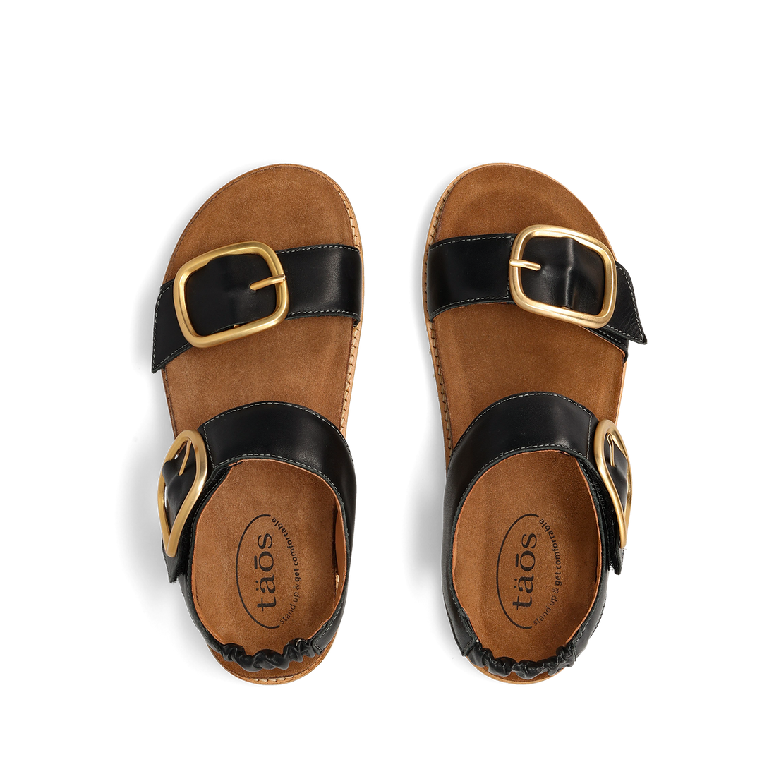 Top down Image of On The Double Black 38