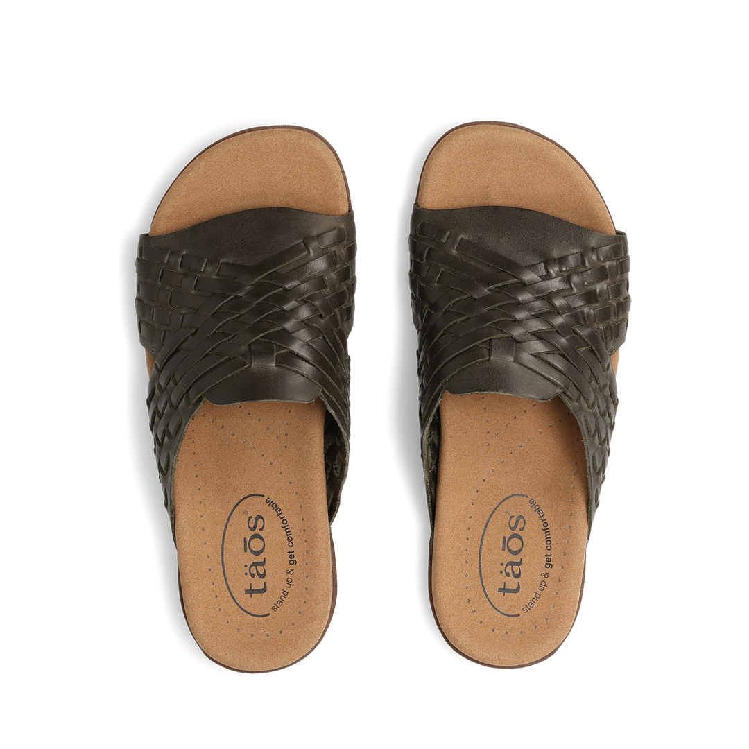 Top down Image of Guru Olive 7