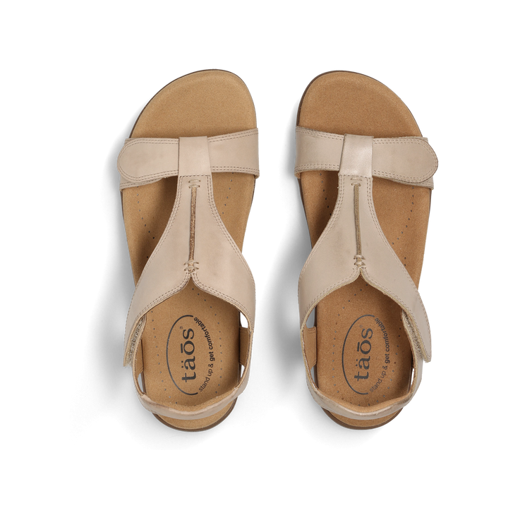 Top down Image of The Show Oat 9