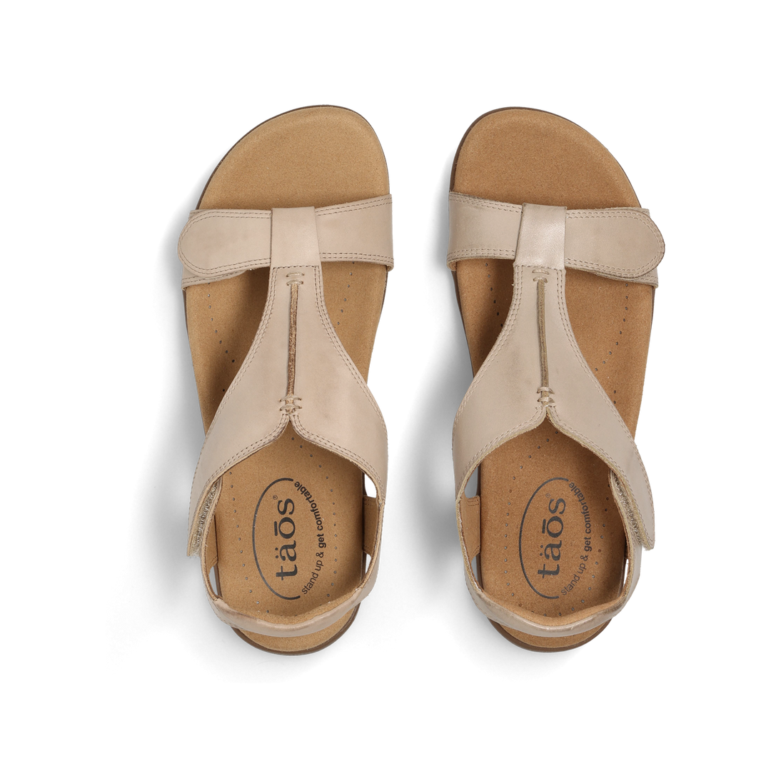 Top down Image of The Show Oat 9