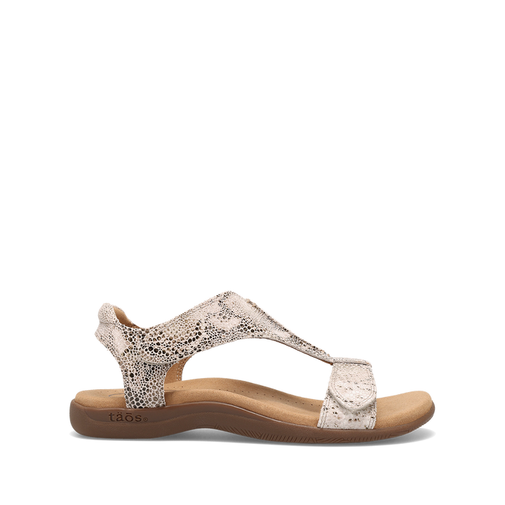 Outside Image of The Show Brown Snake 10