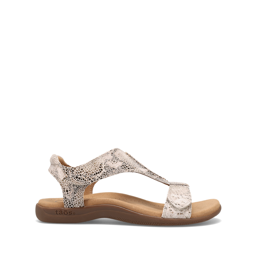 Outside Image of The Show Brown Snake 10