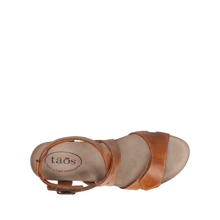 Top down Image of Xcellent 2 Caramel 39