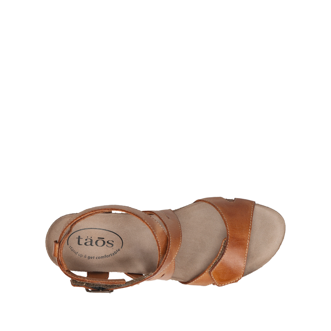 Top down Image of Xcellent 2 Caramel 39