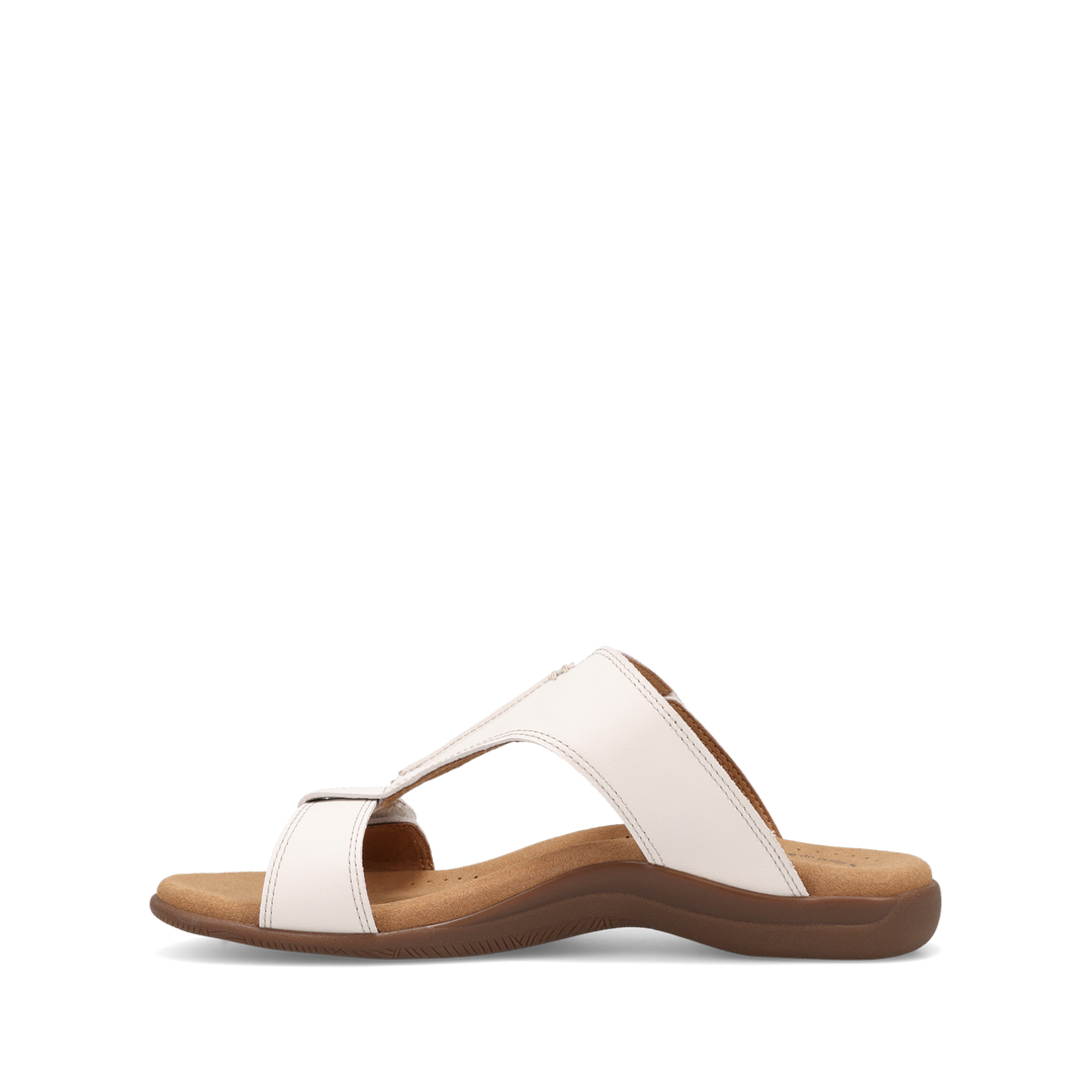 Instep Image of Slide Show White 10
