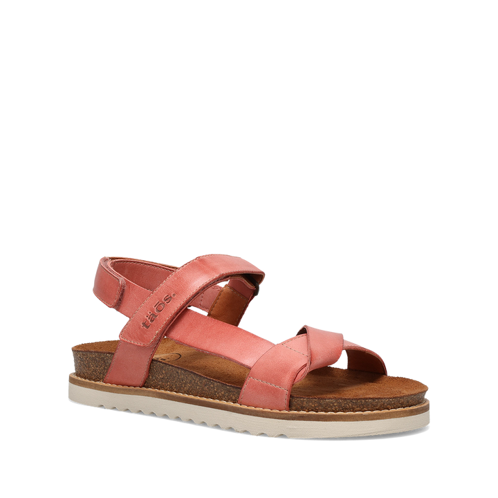 Hero image of Sideways Rosette 42