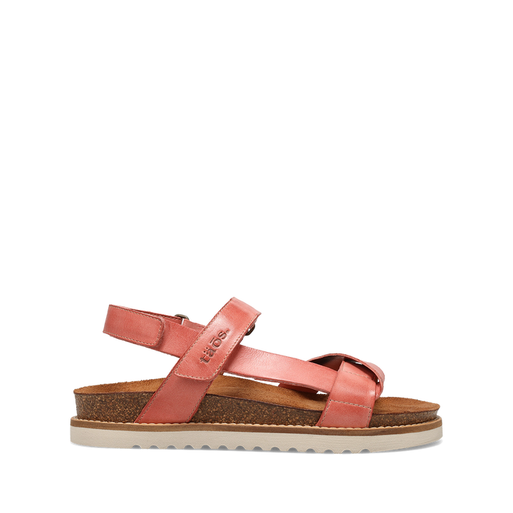 Outside image of Sideways Rosette 42