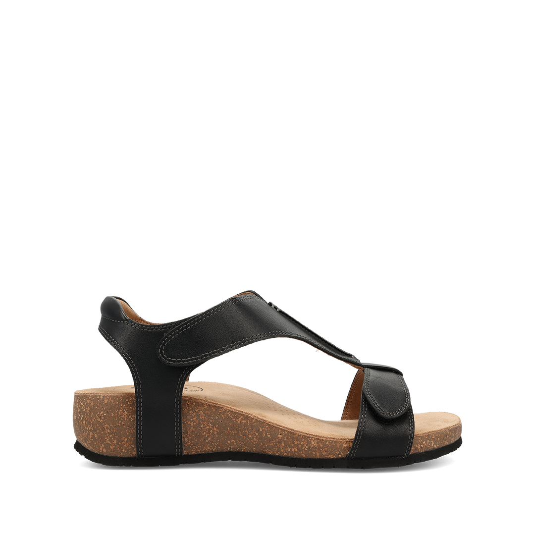 Outside image of Showtime Black 37