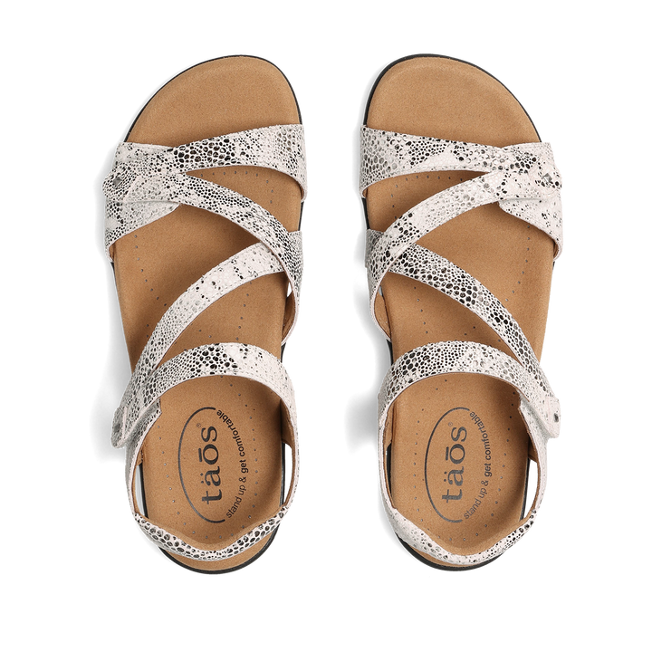 Top down Image of Big Time Grey Snake 9