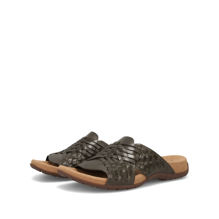 Pair Image of Guru Olive 7