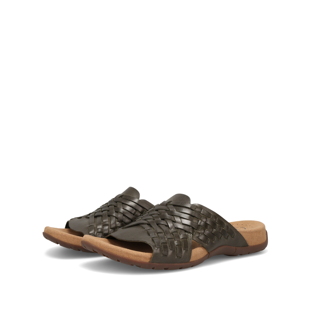 Pair Image of Guru Olive 7