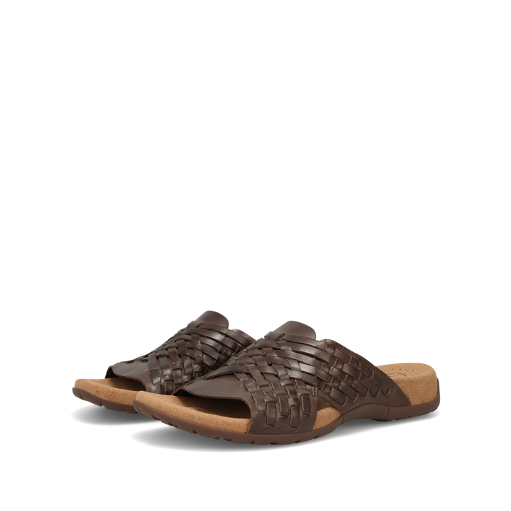 Pair Image of Guru Mocha 11