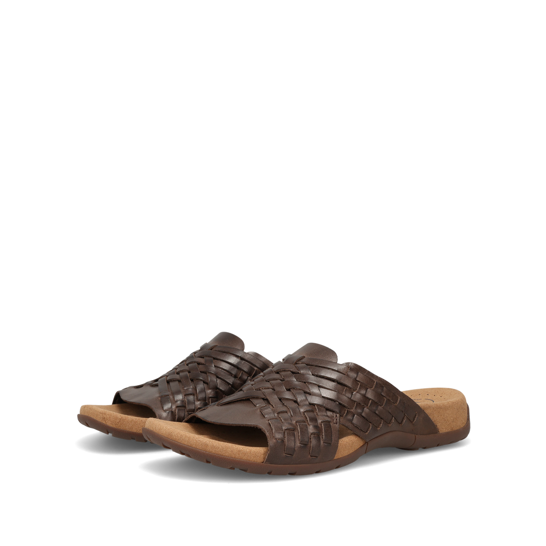 Pair Image of Guru Mocha 11