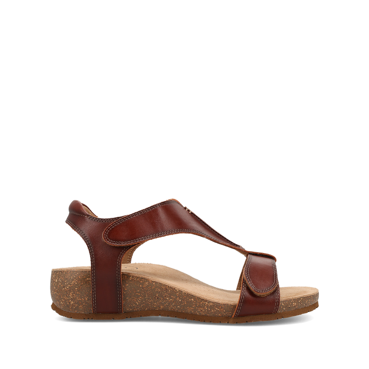 Outside image of Showtime Cognac 39