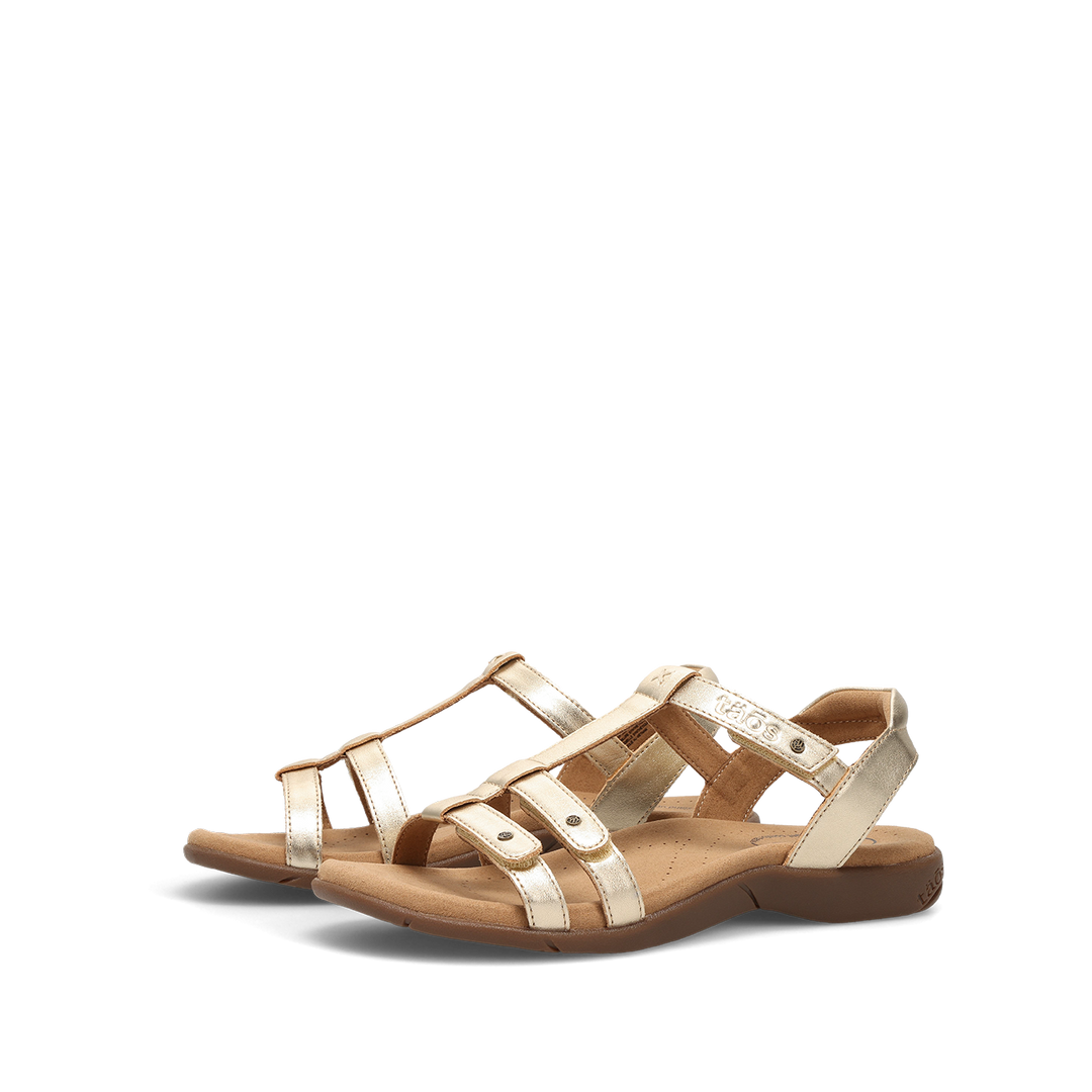 Pair Image of Trophy 2 Gold 8