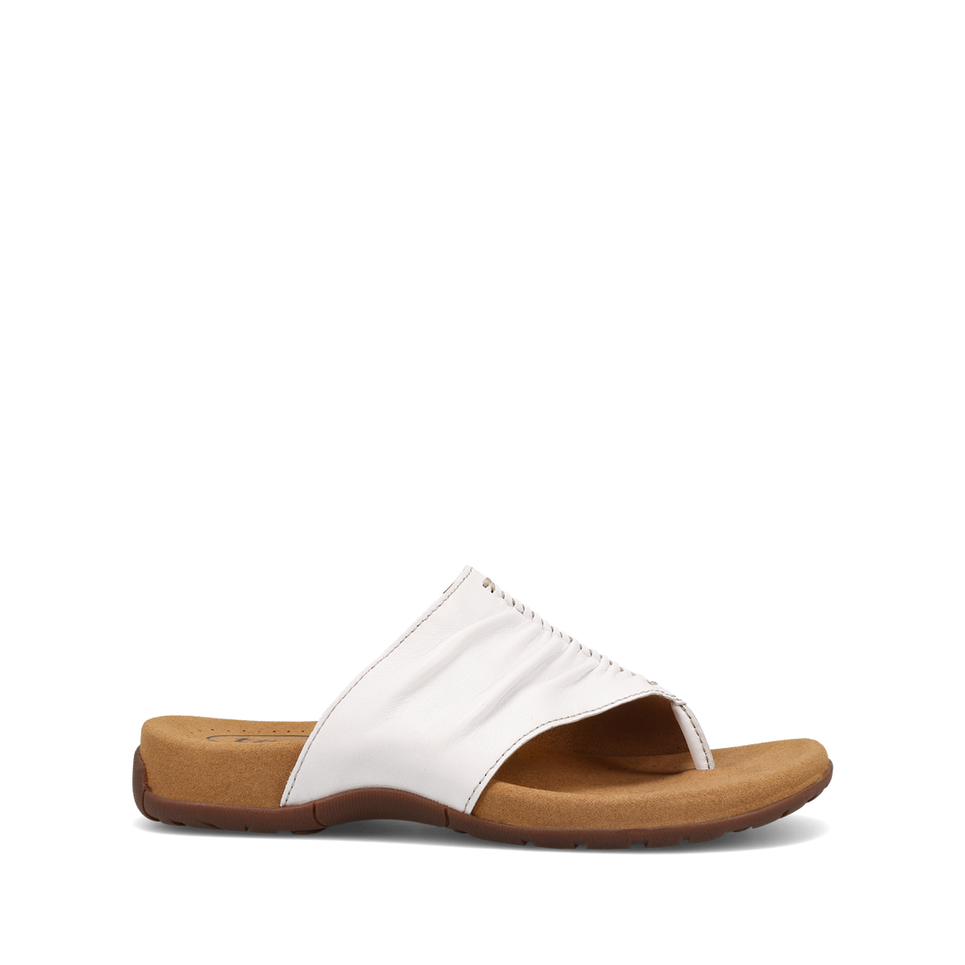 Outside Image of Gift 2 Classic White 9