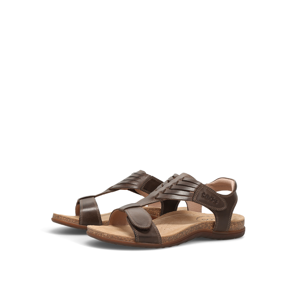 Pair Image of Wonderful Mocha 10