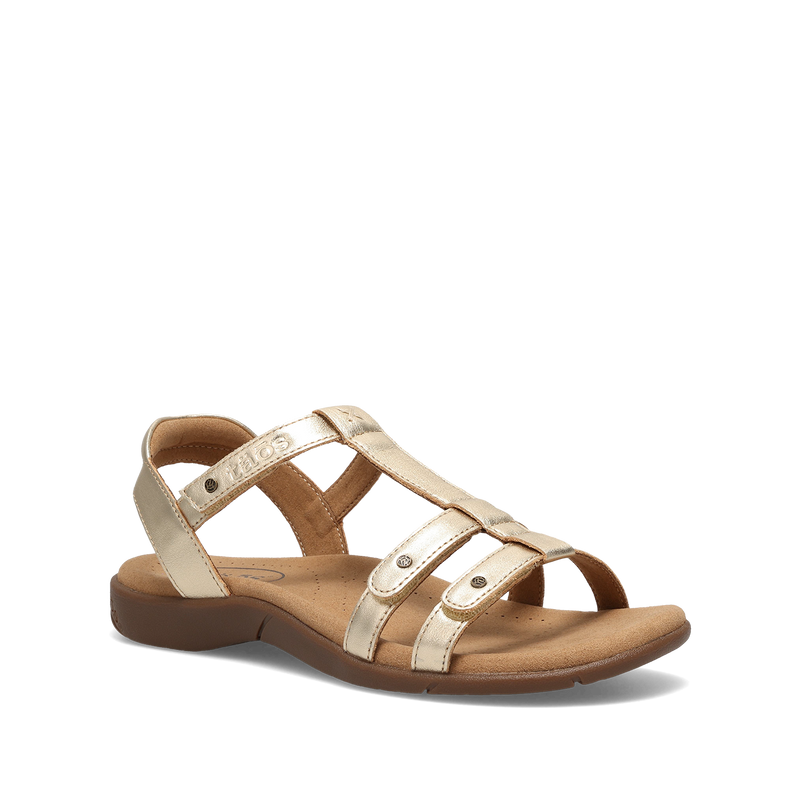 Hero Image of Trophy 2 Gold 8