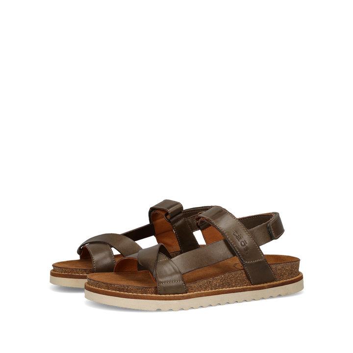 Pair Image of Sideways Olive 40