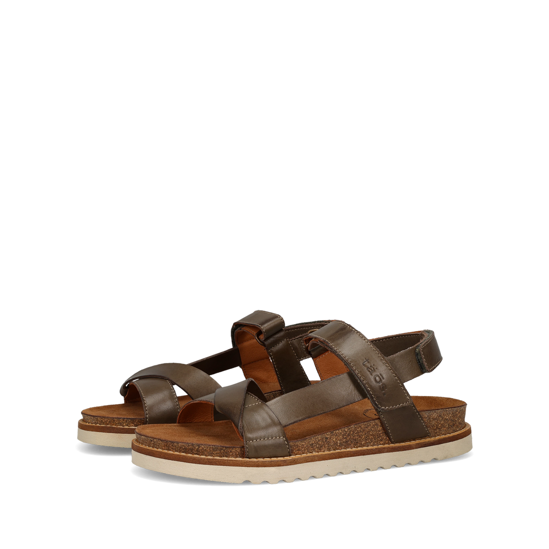 Pair Image of Sideways Olive 40