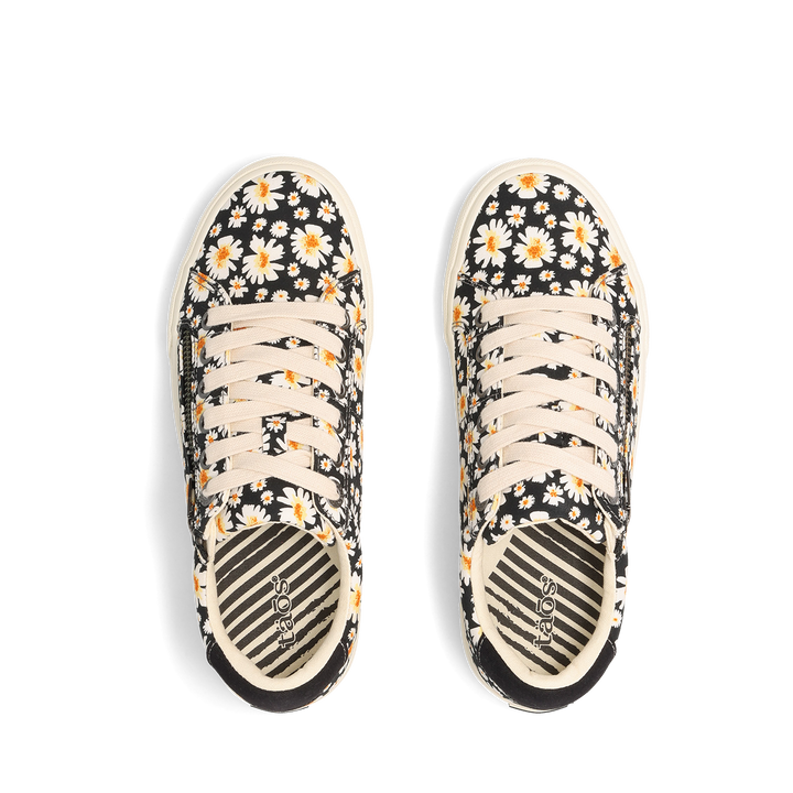 Top down Image of Z Soul Black Daisy 6