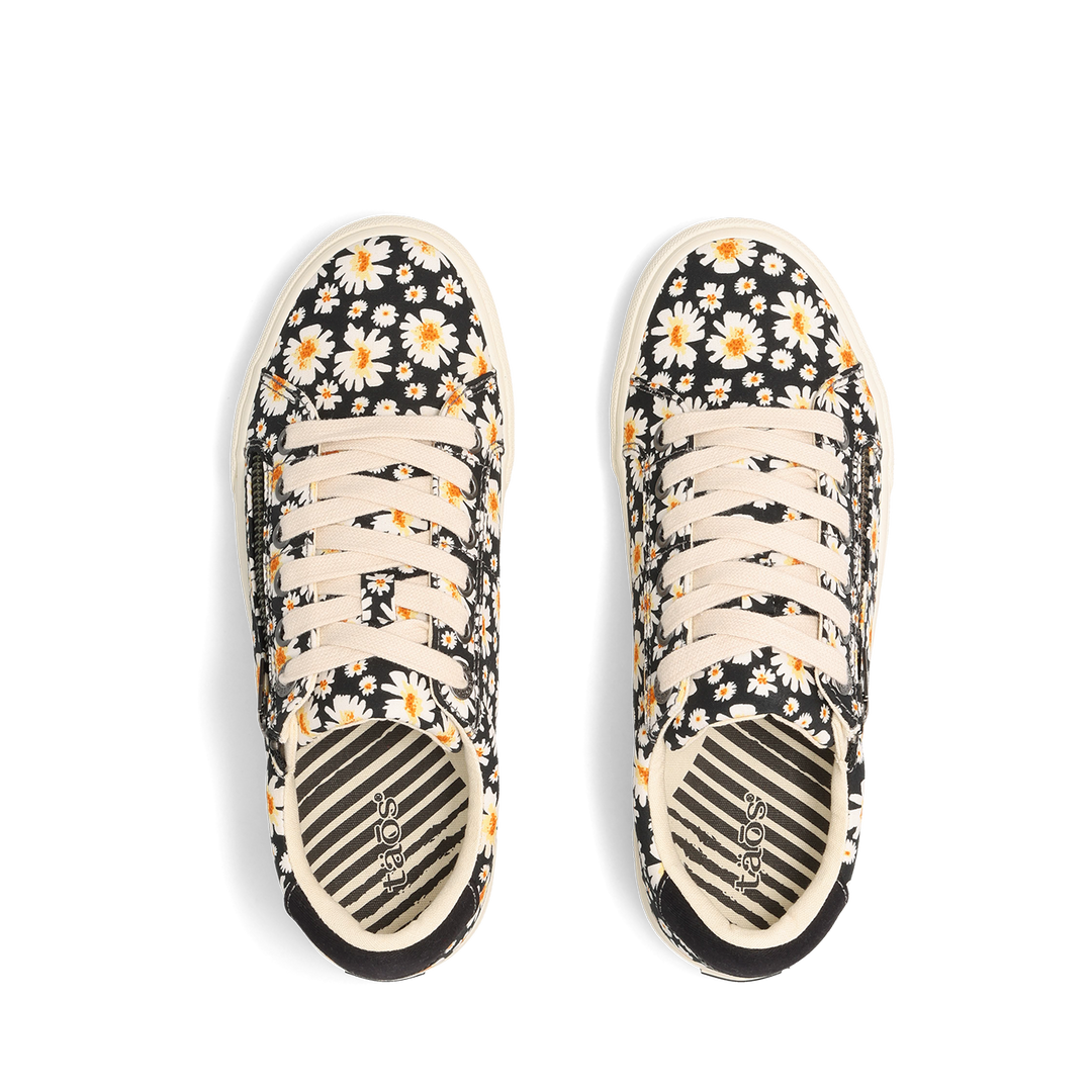 Top down Image of Z Soul Black Daisy 6