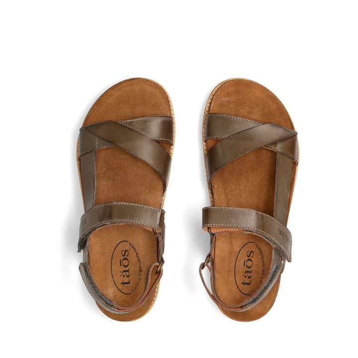 Top down Image of Sideways Olive 40