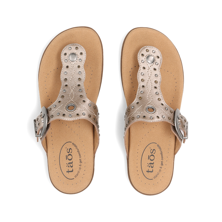 Top down Image of Flash Champagne 10