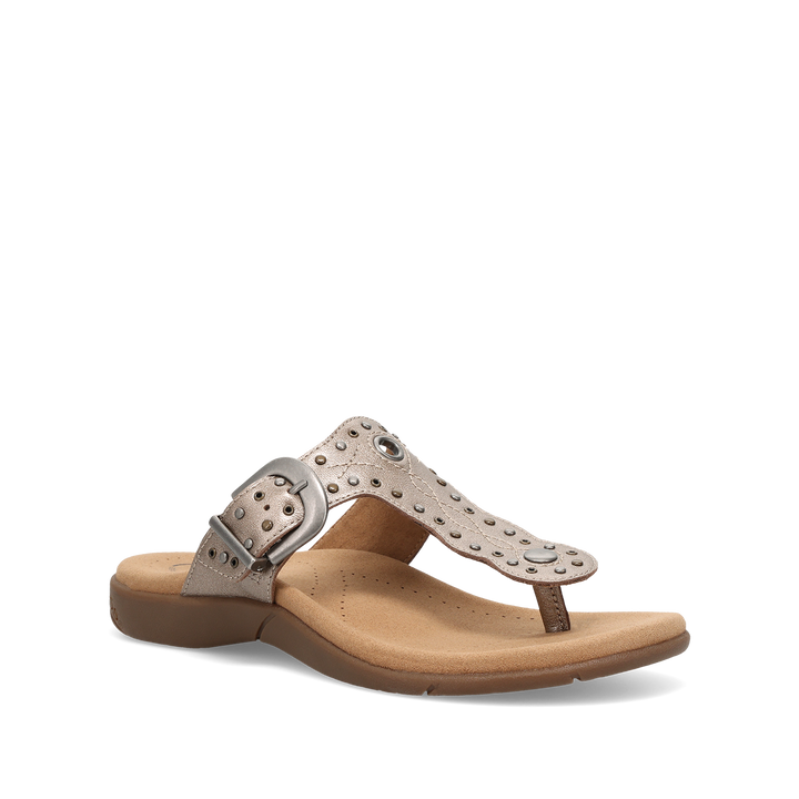 Hero Image of Flash Champagne 10