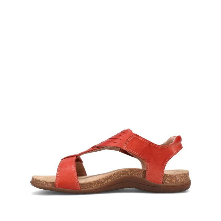 Instep Image of Wonderful Bruschetta 6