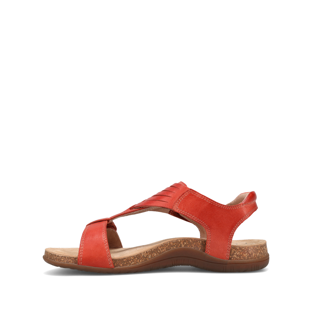 Instep Image of Wonderful Bruschetta 6