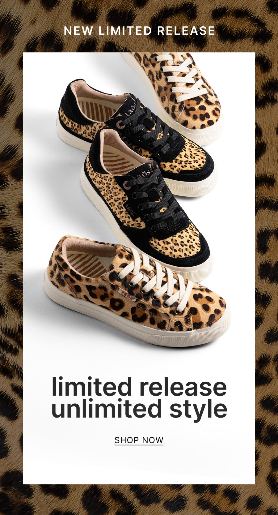 Limited leopard sneakers m